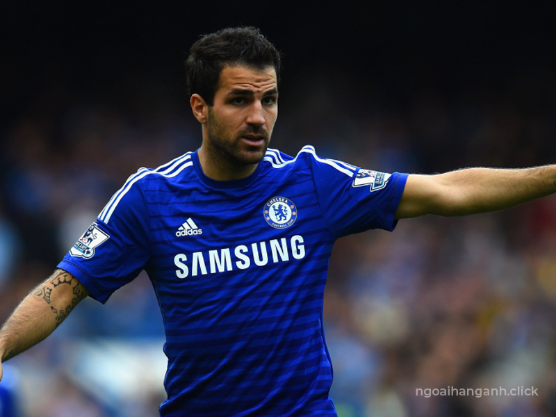 Cesc Fabregas